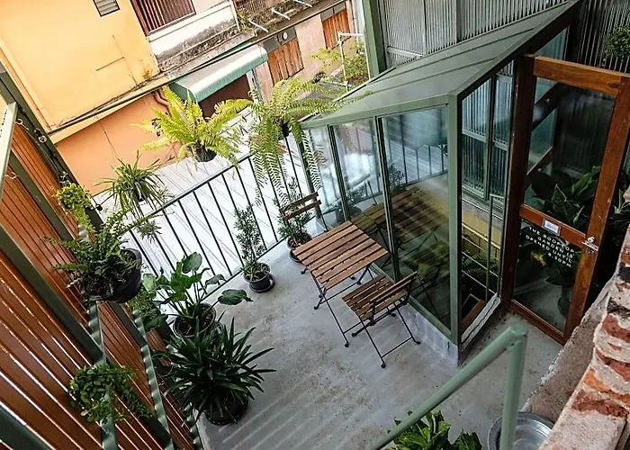 Live Local Cafe And 420 Cannabis Friendly Bangkok